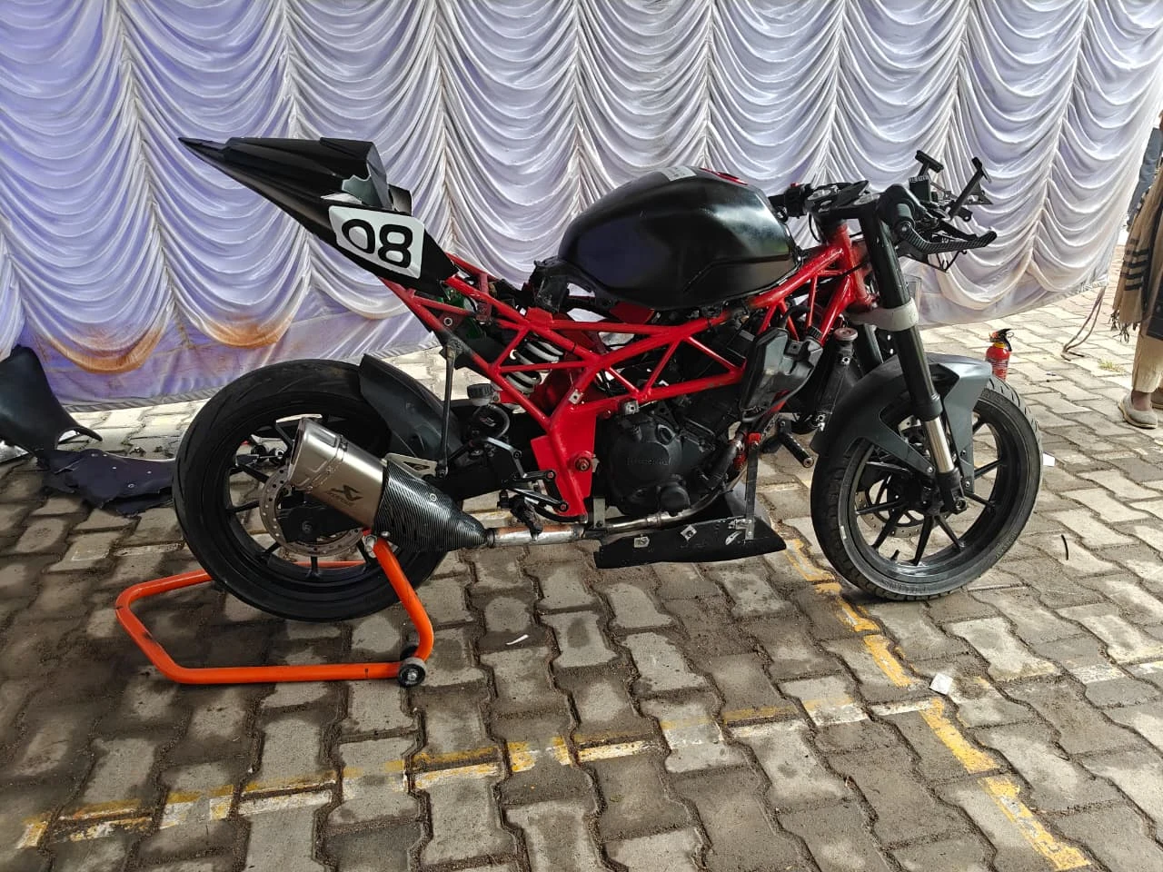 Fabricated red chromoly trellis frame on paddock stand